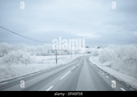 Eine Straße erstreckt sich durch eine winterliche Landschaft. Schnee bedeckt die Bäume an den Seiten. Die Szene ist grau und kalt, typisch für den Winter in einer ländlichen Umgebung. Stockfoto