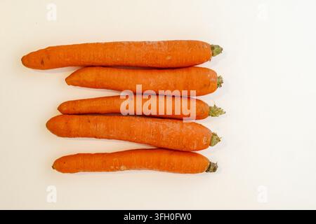 Reihe frischer ganzer Karotten horizontal ausgelegt mit abgeschnittenen grünen Blättern sichtbar auf hellem cremefarbenem Studiohintergrund, leuchtend orangefarbene Textur Makro-Nahaufnahme Stockfoto