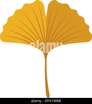 Goldgelbes Ginkgo-Biloba-Blatt, das Herbstnatur und botanische Elemente darstellende Vektorillustration isoliert auf sauberem Hintergrund Stock Vektor