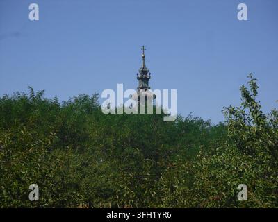 Niedrigwinkelaufnahme eines historischen barocken orthodoxen Kirchturms, der sich über üppige grüne Bäume unter einem klaren blauen Himmel in der Vojvodina erhebt. Stockfoto