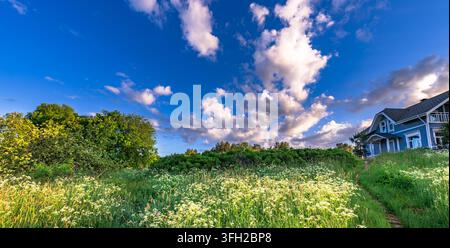 Blaues Haus steht auf einem grasbewachsenen Hügel unter einem strahlend blauen Himmel. Weiße Wolken schweben über grünen Bäumen und Wildblumen. Die Szene wirkt friedlich und einladend für draußen Stockfoto