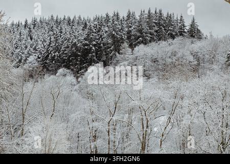 Diese hochwertige Winterlandschaftsfotografie veranschaulicht saisonale Kältewetter-Wald- und Bergnaturkonzepte mit einem dichten Mischwald, der mit frischem weißem Schnee bedeckt ist. Das Bild zeigt eine Stockfoto