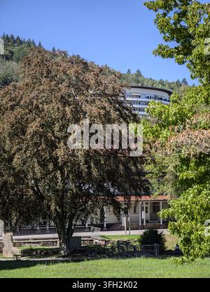 Mehrstöckiges Wohngebäude in Bad Herrenalb fügt sich in dichte Sommerbäume neben grasbewachsenem Parkland auf einem bewaldeten Hügel, mit Fenstern, Balkonen, Dach Stockfoto