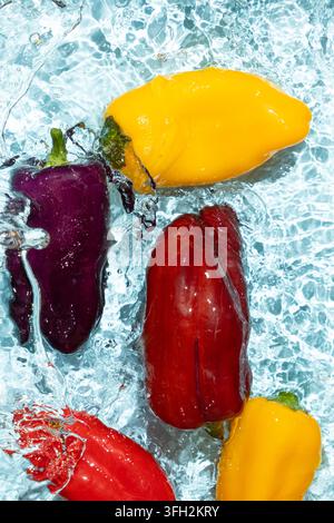 Frische rohe Mini-Pfeffer in klarem spritzendem Wasser, vertikaler Hintergrund. Stockfoto