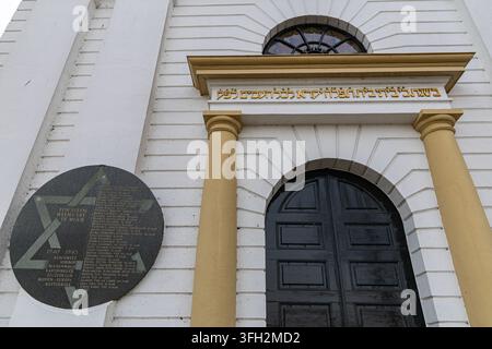 Ansicht des Joods Monument Kampen, einer Gedenktafel an einer weißen Gebäudewand mit gelben Säulen und einer dunklen gewölbten Tür in Kampen, Overijssel, Niederlande Stockfoto