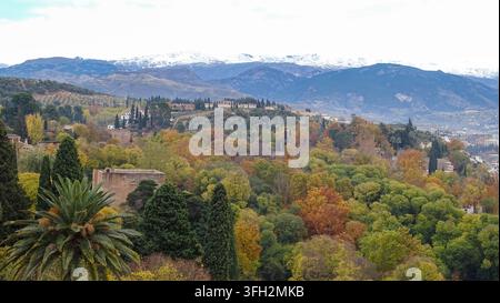 Pittoresker Winterhorizont mit lebhaften Herbstbäumen und Palmengipfel in Granada mit schneebedeckter Bergkette (Sierra Nevada) im Hintergrund. Alhambra, Spanien Stockfoto
