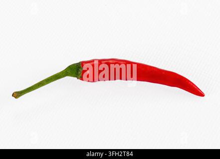Lebendige rote Chilischote isoliert auf sauberer weißer Oberfläche. Helle gleichmäßige Beleuchtung betont die glänzende Haut und die natürlichen Kurven. Minimalistische Komposition mit Platz für Text Stockfoto