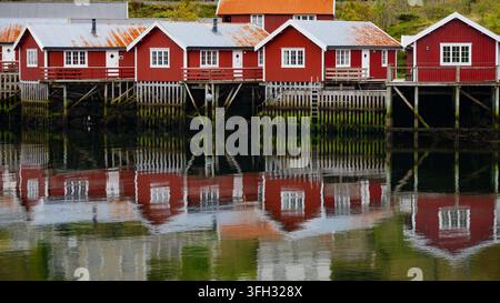 Traditionelle rote Holzhütten (rorbu) auf Holzpfählen, die sich im ruhigen Fjordwasser eines historischen Fischerdorfs spiegeln, Lofoten, Norwegen. Stockfoto