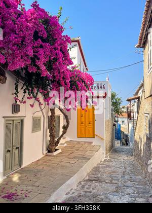 Traditionelle enge Straße mit lebhafter Bougainvillea in Hydra, Griechenland Stockfoto