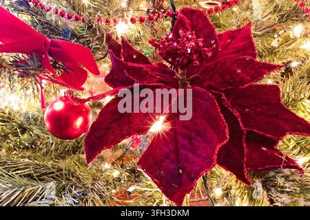 Eine Nahaufnahme eines tiefroten Samt-Weihnachtsstern-Blumenschmucks und einer glänzenden roten Kugel, die an einem geschmückten immergrünen Baum mit warmen Lichtern hängen. Stockfoto