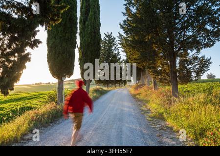 Männlicher Spaziergänger auf unbefestigten, mit Zypressen gesäumten Spuren, Toskana, Italien Stockfoto