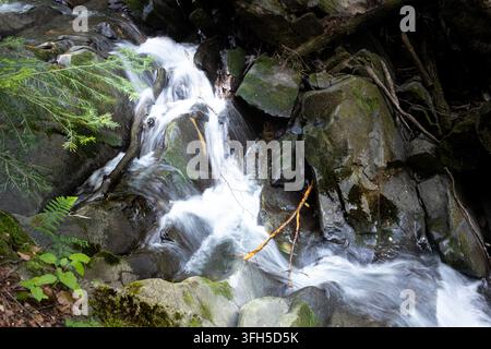 Kaskadierendes Wasser fließt über moosige Felsen in einem bewaldeten Bieszczady-Bach Stockfoto