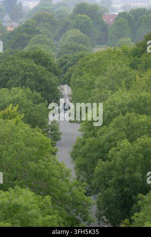 Eine Hochwinkel-Aufnahme zweier klassischer schwarzer Oldtimer, die eine graue Asphaltstraße entlangfahren, die von üppigen grünen Bäumen gesäumt ist, in einer malerischen Landschaft Stockfoto