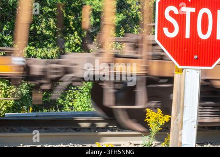 An einem unkontrollierten Bahnübergang im Wald sagt das STOP-Schild alles Stockfoto