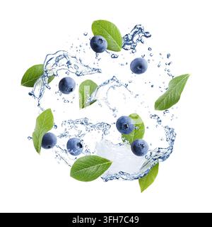 Frische Blaubeeren, grüne Blätter und Wasserspritzer in der Luft vor weißem Hintergrund Stockfoto