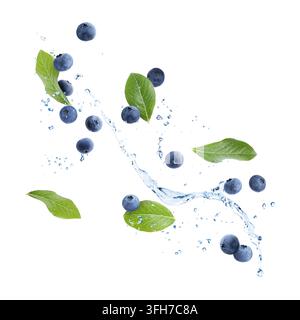 Frische Blaubeeren, grüne Blätter und Wasserspritzer in der Luft vor weißem Hintergrund Stockfoto
