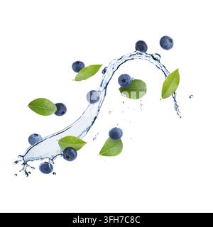 Frische Blaubeeren, grüne Blätter und Wasserspritzer in der Luft vor weißem Hintergrund Stockfoto