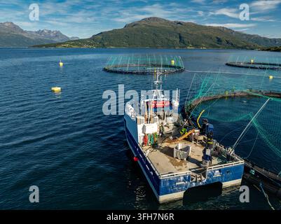 Luftaufnahme einer Lachsfarm in Gratangsfjorden mit einem Arbeitsboot, das neben kreisförmigen Netzkäfigen im tiefblauen Wasser vertäut ist, umgeben von Bergen in Stockfoto