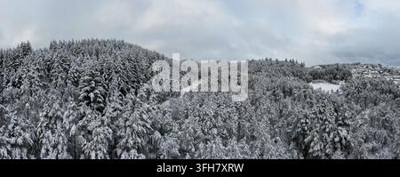 Weite panoramische Winterlandschaft in Brakahaug in Haugesund, Norwegen, die dichte Waldgebiete und Nadelhügel zeigt, die stark mit frischem Schnee bedeckt sind. Stockfoto