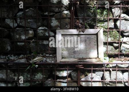 Die Annäherung an Yokomine-ji hebt ein rustikales Holzschild hervor, das mit grünem Moos bedeckt ist und gefährlich an einer Steinmauer lehnt, die von einem Steinblock gestützt wird Stockfoto