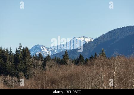 Schneebedeckte Berggipfel erheben sich über Schichten von immergrünem und kahlem Wald unter einem klaren blauen Himmel. Stockfoto