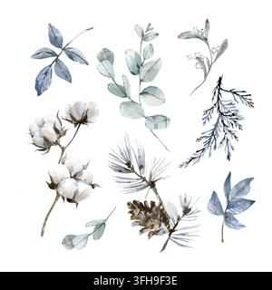 Ein winterliches Blumen-Aquarell-Set. Handgezeichnete Illustrationen isoliert auf weißem Hintergrund. Stockfoto