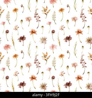 Herbstblumen Nahtloses Muster Dahlia Chrysantheme Aster Echinacea Wildblumen. Aquarell handgezeichnete Blumenillustration isoliert auf weißem Hintergrund Stockfoto