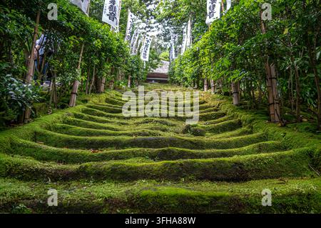 Alte steinerne Stufen, die mit Moos bedeckt sind, am Myoho-ji-Buddhistisches Tempel in Kamakura in Japan. Seitenansicht Stockfoto