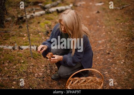 Frau sucht im Herbstwald nach Wildpilzen und inspiziert einen frischen Pilz mit einem kleinen Messer Stockfoto