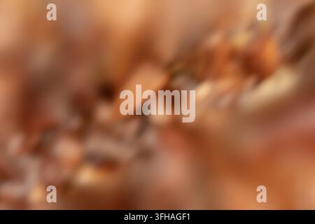 Abstrakter Herbsthintergrund mit warmen braunen und orangen Tönen von verschwommenen Herbstblättern. Stockfoto