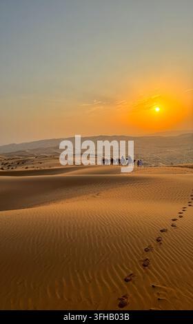 Kamelenkarawane überquert goldene Sanddünen bei Sonnenaufgang in der Wüste in der Nähe von Abu Dhabi, Vereinigte Arabische Emirate Stockfoto