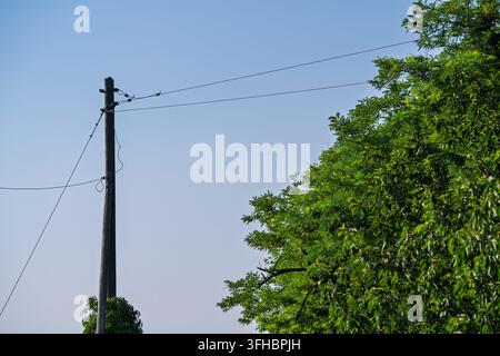 Holzstrommast, der Stromleitungen und Drähte trägt. Verbindende Infrastruktur und Natur. Steht hoch gegen einen hellen klaren blauen Himmel. Mit Grün Stockfoto