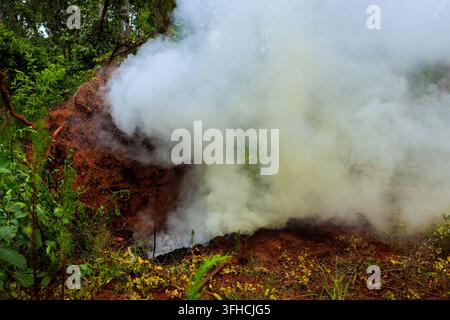 Rauch steigt aus dem Boden in dichter Waldvegetation um Rauch auf. Stockfoto