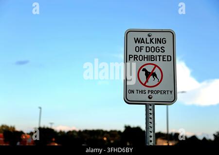 Vertikales Metallschild mit der Aufschrift „Hundehaltung auf diesem Grundstück verboten“ mit einem roten Symbol, rechts eingerahmt mit freiem blauen Himmel als Kopierraum. Stockfoto