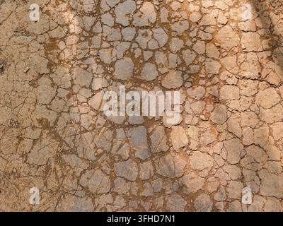 Top-Down-, Nahaufnahme von trockener, ausgetrockneter Erde mit einem komplexen Netz von Rissen, charakteristisch für schwere Dürre oder sonnengebrannten Lehmboden. Stockfoto