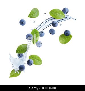 Frische Blaubeeren, grüne Blätter und Wasserspritzer in der Luft vor weißem Hintergrund Stockfoto