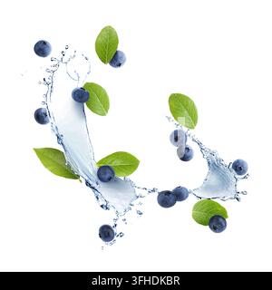 Frische Blaubeeren, grüne Blätter und Wasserspritzer in der Luft vor weißem Hintergrund Stockfoto