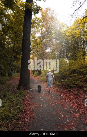 Eine Seniorin geht einen malerischen Pfad in einem goldenen Herbstwald entlang, begleitet von ihrem kleinen schwarzen Hund. Der Pfad ist mit gefallenen Blättern bedeckt, und Stockfoto