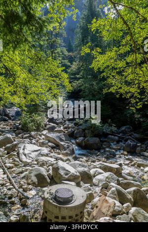 Ein klarer Bergbach stürzt über glatte Steine, umgeben von lebendigen grünen Bäumen und gesprenkeltem Sonnenlicht, das durch das Blätterdach dringt, Shannon Falls Stockfoto