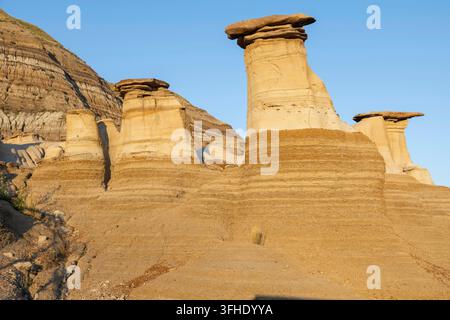 Diese einzigartigen Sandsteinformationen, bekannt als Hoodoos, werden durch Erosion in den kanadischen Badlands geformt, Drumheller, AB T0J 0Y0, Alberta, Kanada Stockfoto