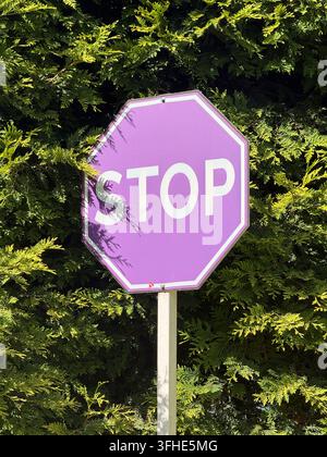 lila Stoppschild vor grünen Büschen an einem sonnigen Tag Konzept von Vorsicht und Grenzen Stockfoto