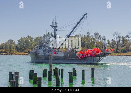 Fischereischiff Pacific Viking kehrt in den Hafen von Steveston British Columbia Kanada zurück Stockfoto