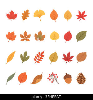 Herbstblätter und saisonales Laub Illustrationssammlung Stock Vektor