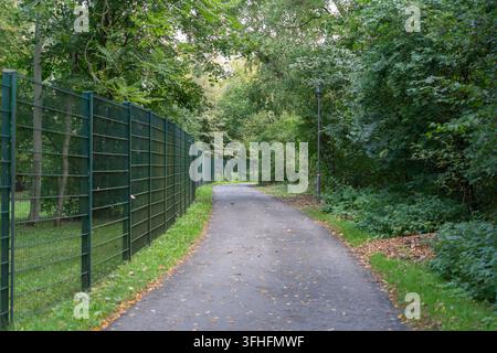 Ein leerer gepflasterter Weg windet sich durch dichten Wald neben einem hohen grünen Metallzaun. Herbstblätter und eine Parklaterne verleihen der Stille frühe Herbstdetails Stockfoto