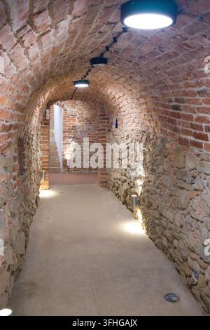 Ein Steinbogen führt durch einen alten, schwach beleuchteten Tunnel. Kupferfarbene Ziegel hallen Jahrhunderte stiller Geschichte wider. Moderne Lichter mildern verwitterte Wände mit warmem Schein Stockfoto