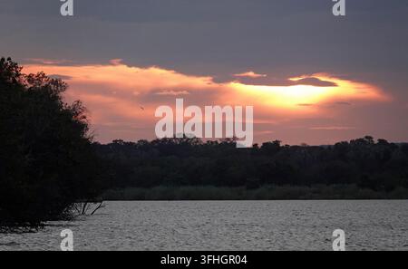 Prachtvolle Sonne über dem Sambesi in Simbabwe, wunderschöne afrikanische Landschaft mit dramatischem goldenem Himmel, Wolken und Silhouetten von Bäumen, die sich spiegeln Stockfoto