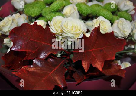 Ein großer Strauß weißer Rosen mit roten Eichenblättern und grünen Chrysanthemen ist ein neuer Geschenketrend für den Herbst 2026 in Kiew. Stockfoto