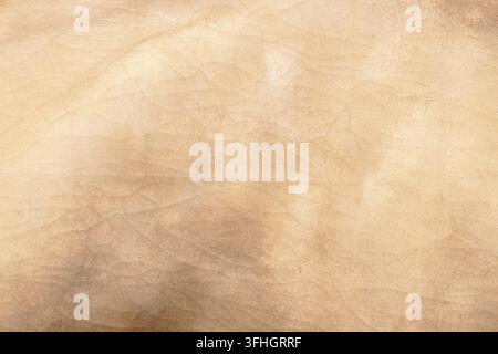 Altes Pergamentpapier-Layout mit kunstvollen Oberflächensprüngen, geeignet für Retro-Verpackungen, Einladungen und klassische Hintergründe. Stockfoto