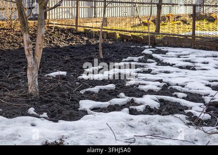 Dunkle fruchtbare Erde erscheint zwischen verbliebenen Flecken weißen Winter Schnees in einem rustikalen Garten, was die Ankunft des frühen Frühlings und die Vorbereitung veranschaulicht Stockfoto