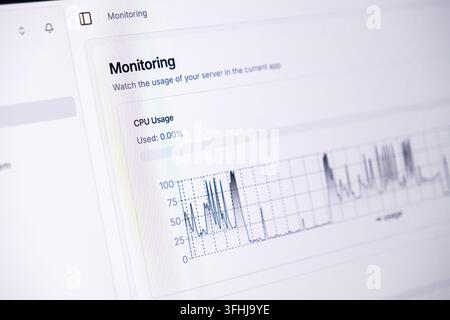 Die Verwaltungskonsole verfolgt die Systemauslastung und die CPU-Aktivität auf einem Computerbildschirm und bietet eine klare Datendarstellung für die Stabilität von Webhosting und Stockfoto